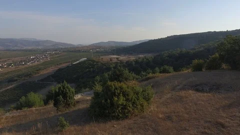 Shooting from the air of vineyard valley Vídeo Stock 107988190
