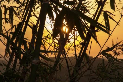 Shooting back light. Foto stock