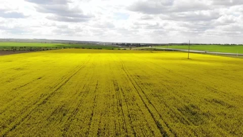 Shooting beautiful spring fields from a quadcopter Video stock 171762758