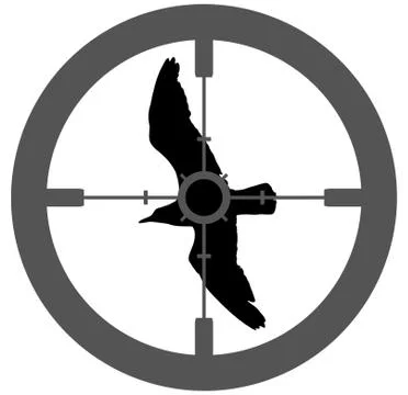 Shooting Bird Stock Illustration