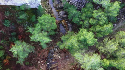Shooting from a bird's eye view. Stock Footage 141998687