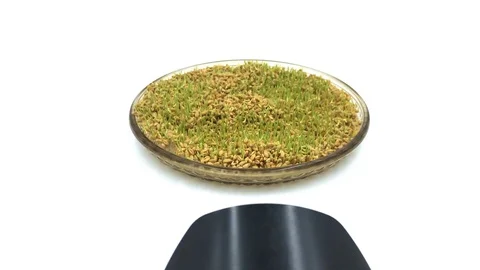 Shooting to the camera 스톡 동영상 86643732