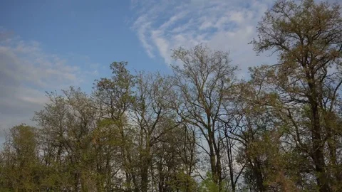 Shooting from a car window 库存影片 76558942