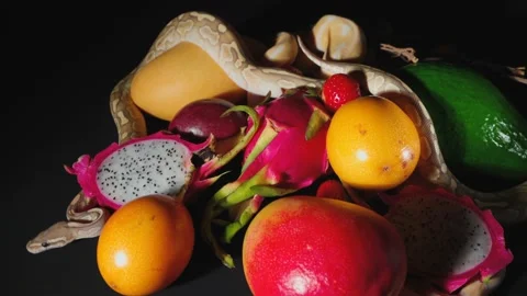 Shooting of crawling python and exotic fruits Stock-Footage 136955809