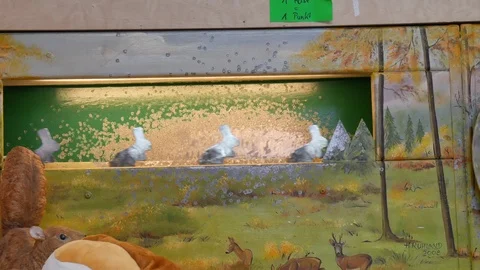 Shooting in a dash Stock Footage 91393043