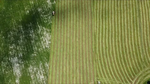 Shooting from a drone dji Stock Footage 229405256