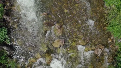 Shooting from a drone flying over a mountain stream and wooded shores. Stock Footage 330059845