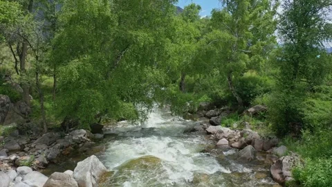 Shooting from a drone flying over a mountain stream and wooded shores. Stock Footage 330059931