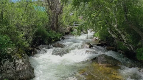Shooting from a drone flying over a mountain stream and wooded shores. Stock Footage 330332039