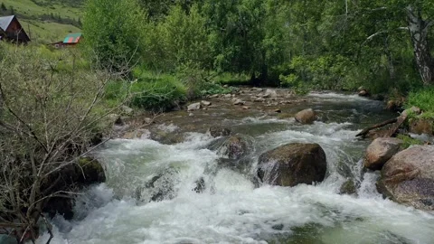 Shooting from a drone flying over a mountain stream and wooded shores. 動画素材 331059128