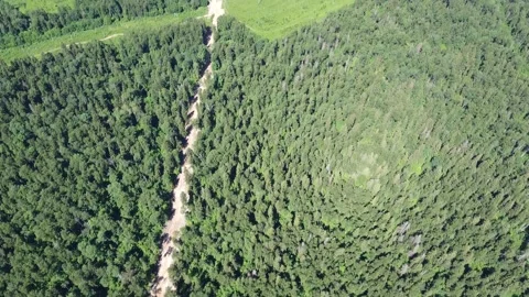 Shooting from drone Stock Footage 229405258