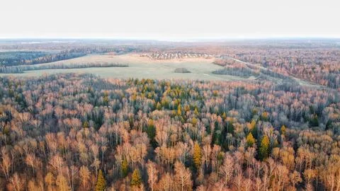 Shooting from a drone Foto stock