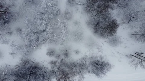 Shooting from a drone in winter forests and fields. Stock Footage 170897423