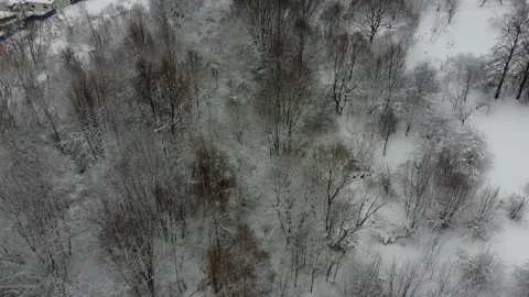 Shooting from a drone in winter forests and fields. Stock Footage 170928835