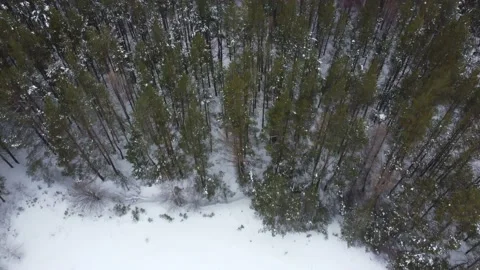 Shooting from a drone in winter forests and fields. Stock Footage 170932737