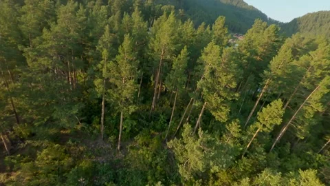 Shooting from a dynamic FPV drone. A flight over a bubbling mountain river with Stock Footage 278365990