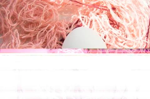 Shooting Easter, one egg on a pink background - damaged file. Abstract textur Foto stock