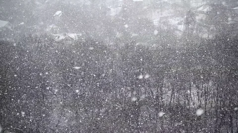 Shooting falling snow in winter.	 Stock-Footage 123979101