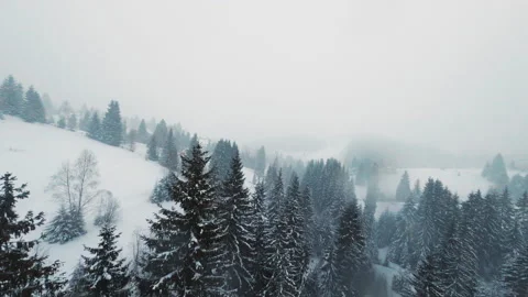 Shooting from fast drone FPV. Flight. Aerial view of cars driving on snowy road Stock-Footage 195269391