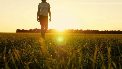 Shooting of female legs walking on a green lawn against a sunset background Stock Footage