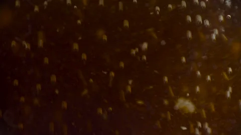 Shooting of fermentation process with bubbles Stock Footage 134134943