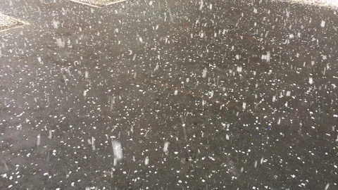 Shooting the first snow 스톡 동영상 88436611