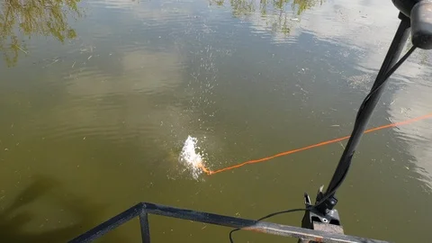 Shooting a fish with a bow Stock Footage 107881728