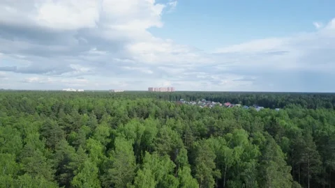 Shooting the forest from a drone Stock Footage 235055050