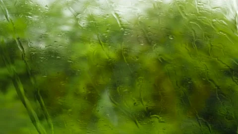 Shooting a forest landscape through the wet glass of a train car. Rain outside Video stock 198186808