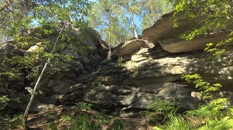 Shooting in the forest in summer Stock Footage 120054773