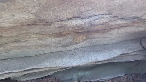 Shooting in the forest in summer Stock Footage 120055225