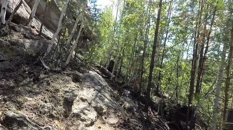 Shooting in the forest in summer Stock Footage 120055644