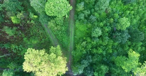 Shooting from a helicopter flight over a forest park area overlooking a mixed Stock Footage 73529251