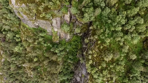 Shooting from helicopter high large rocks covered with dense green trees, top Stock Footage 79975809