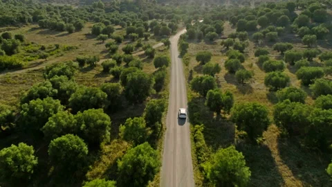Shooting from helicopter rapid movement of white SUV car on asphalt highway Stock Footage 98493379