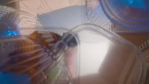 Shooting of man taking out plastic trash for recycling, bottom view Video stock 147839662