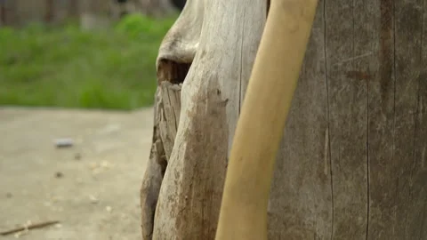 Shooting in motion on a large palene with a stand Stock Footage 153934532