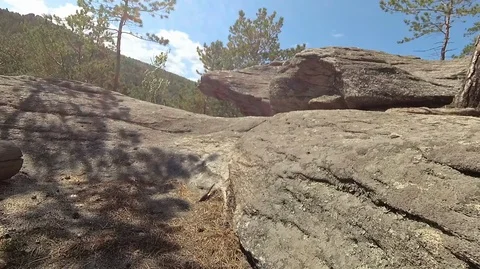 Shooting in motion through the forest with an action camera Stock Footage 120200177