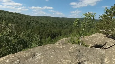 Shooting in motion through the forest with an action camera Stock Footage 120201251