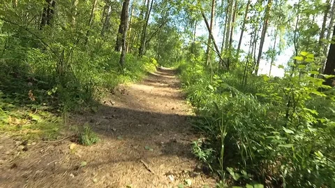 Shooting in motion through the forest with an action camera Stock Footage 120205994