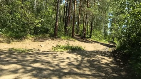 Shooting in motion through the forest with an action camera Stock Footage 120206166