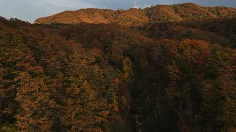 Shooting over a forest in a mountainous area Stock Footage 171291708