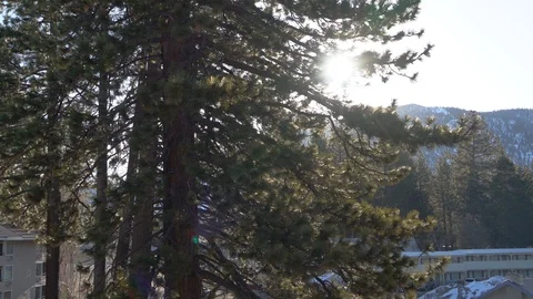 Shooting panoramic view from the window on the mountain and forest. Video stock 106419679