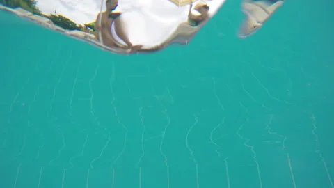 Shooting In The Pool From Under The Water Stock-Footage 95040375