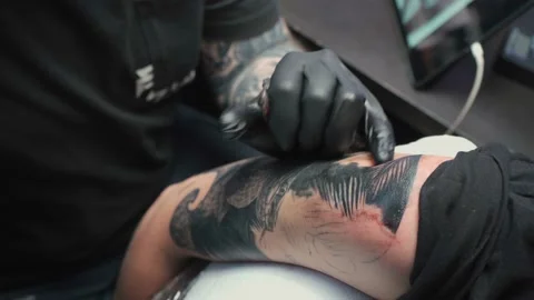 Shooting of professional getting tattoo of snake in salon Stock Footage 124254035