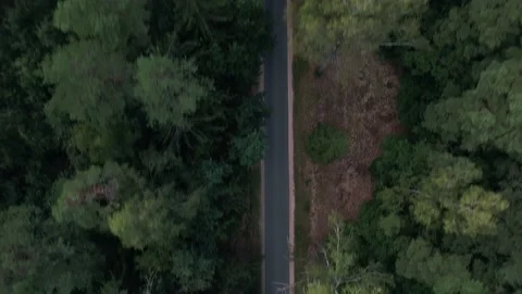 Shooting from a quadcopter of the empty highway and adjacent roads among the 库存影片 224278736