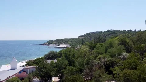 Shooting from a quadcopter view of green trees near the blue sea Stock Footage 148078890