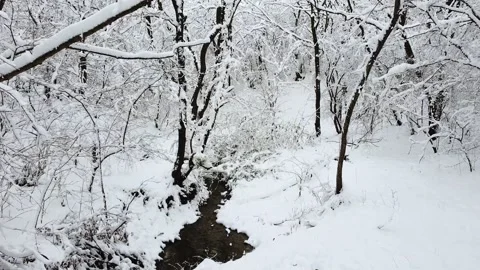 Shooting from a quadrocopter in a winter forest Stock Footage 170384877