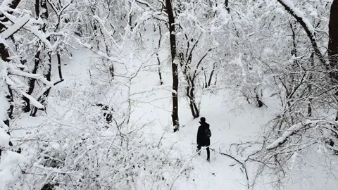 Shooting from a quadrocopter in a winter forest Stock Footage 170384879