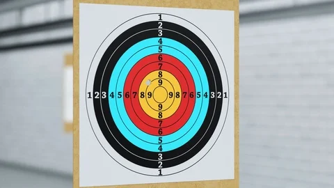 Shooting range with target riddling by bullets. Training practice or competition Video stock 110048125